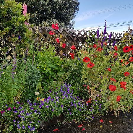 The Green House B&B Whitianga Εξωτερικό φωτογραφία