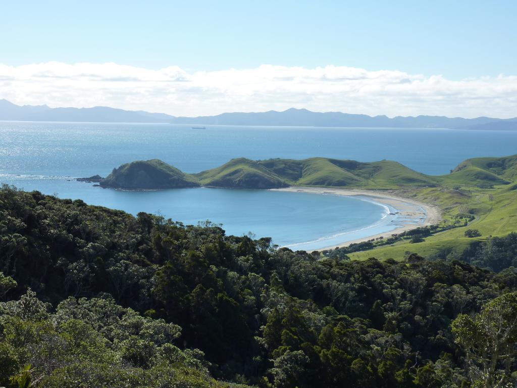 The Green House B&B Whitianga Εξωτερικό φωτογραφία