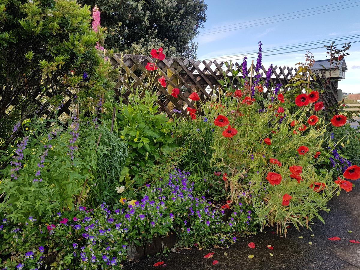 The Green House B&B Whitianga Εξωτερικό φωτογραφία