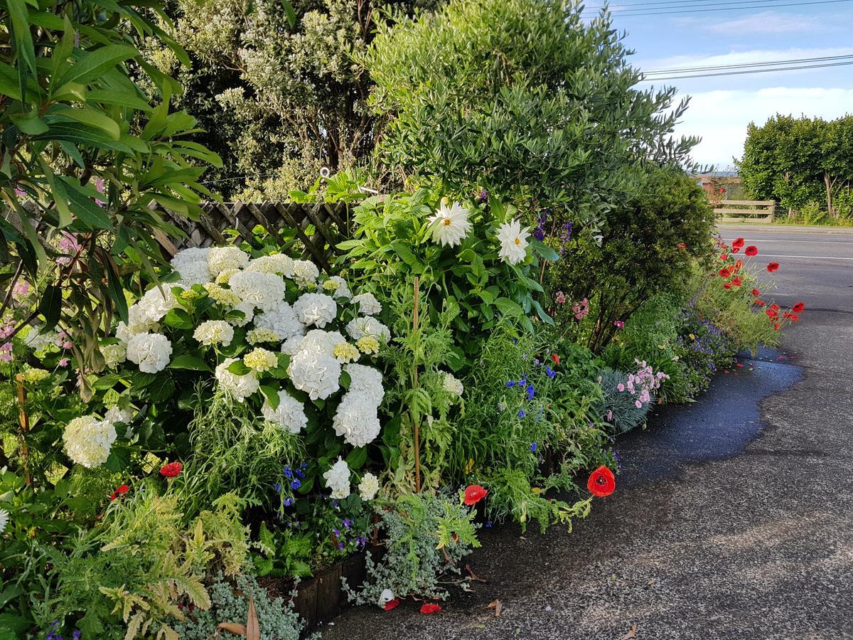 The Green House B&B Whitianga Εξωτερικό φωτογραφία