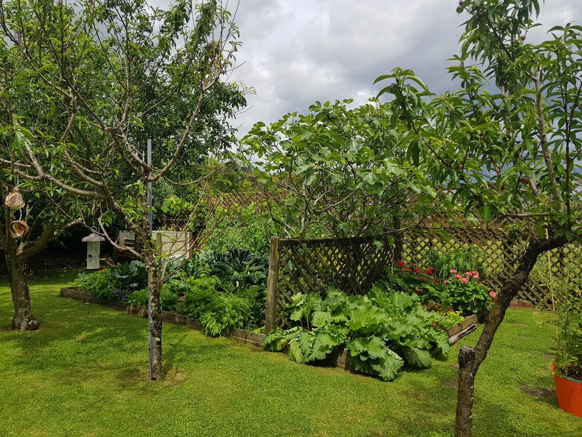 The Green House B&B Whitianga Εξωτερικό φωτογραφία