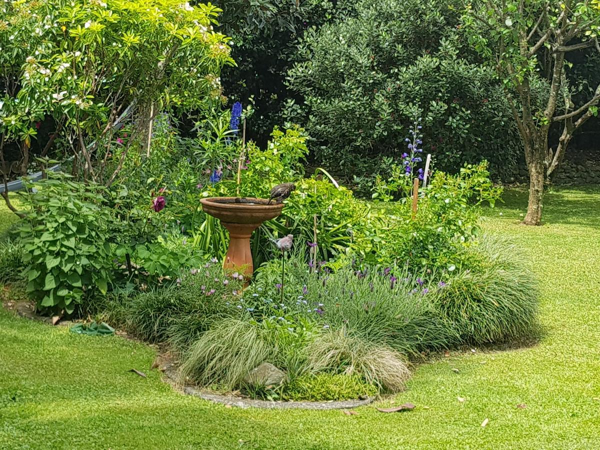 The Green House B&B Whitianga Εξωτερικό φωτογραφία